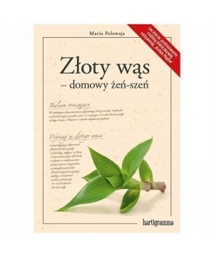 Złoty wąs – domowy żeń-szeń...