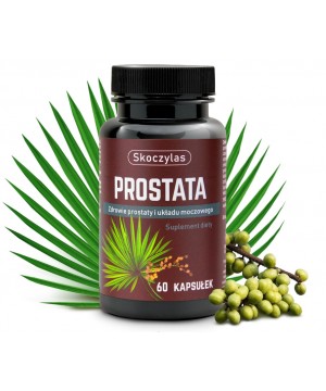 Prostata