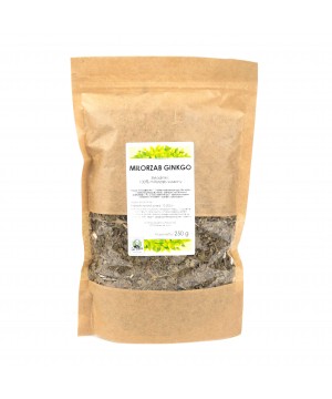 Miłorząb Ginkgo 250g