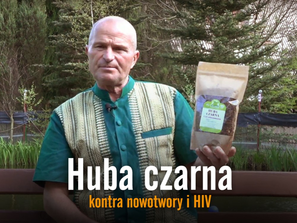 Huba czarna kontra nowotwory i HIV