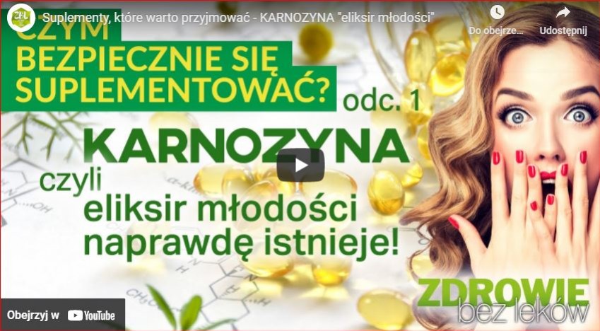 Suplementy, które warto przyjmować - KARNOZYNA