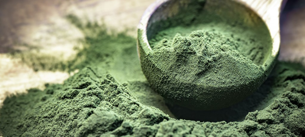 Chlorella