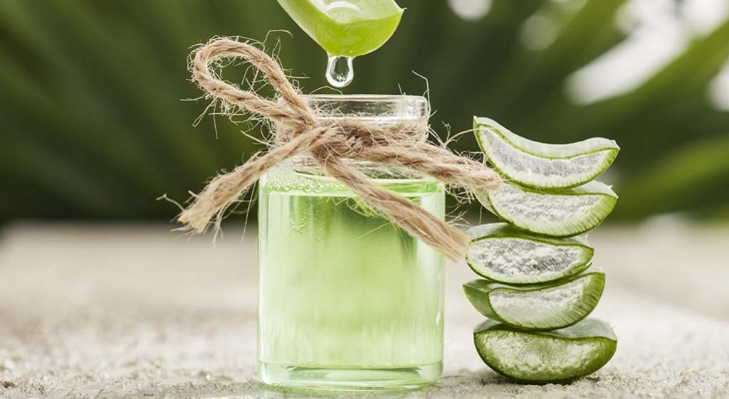 Aloes – zielone superfood