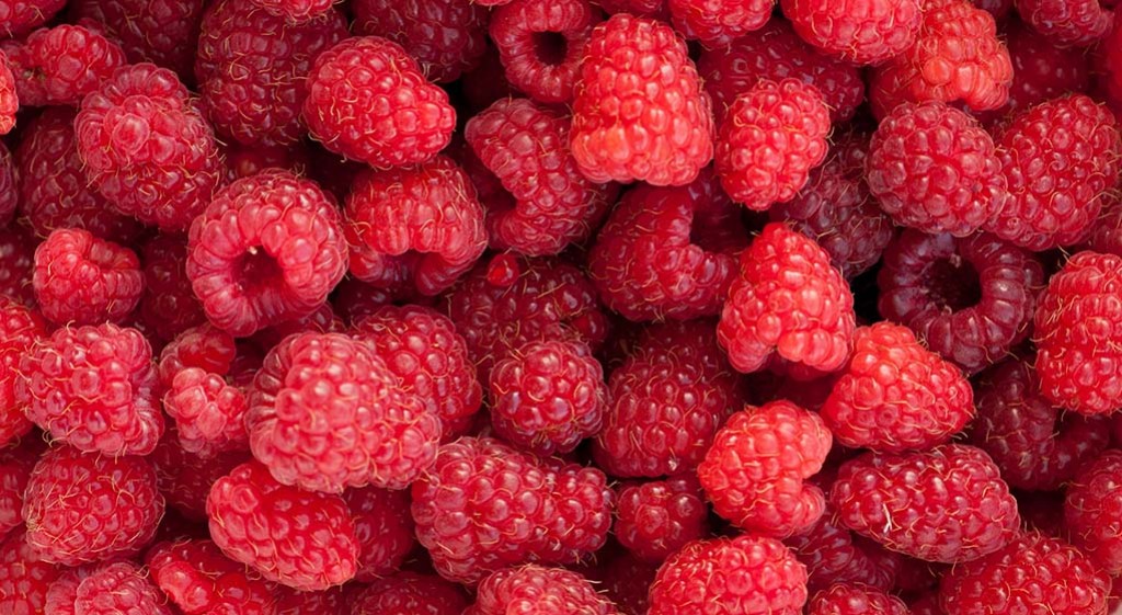 Maliny