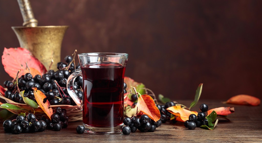 Aronia – doskonały lek na choroby cywilizacyjne