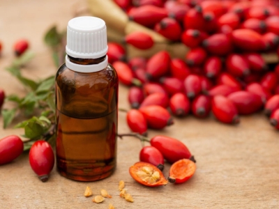 Dzika róża – właściwości i zastosowanie