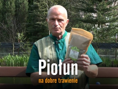 Piołun na dobre trawienie