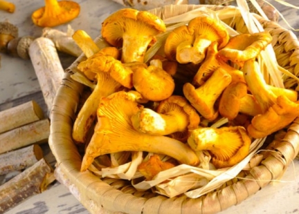 Kurki – złoto prosto z lasu