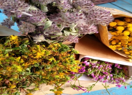 O konserwacji, przetwórstwie i przechowalnictwie ziół 