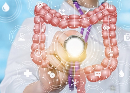 Jelita – pierwsza linia obrony organizmu