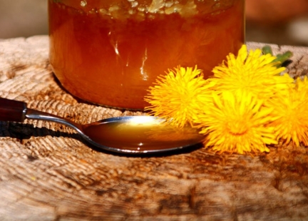 Czas na syropy – syrop z kwiatów mniszka lekarskiego (Taraxacum vulgare)