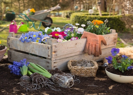 Wiosna – czas na prozdrowotne porządki