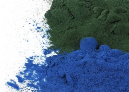 Co to jest fikocyjanina?