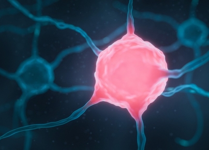 Choroby śródpiersia – guzy i torbiele śródpiersia