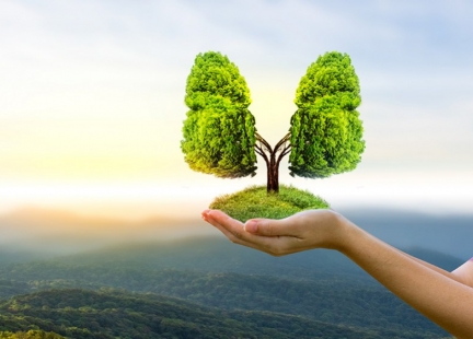 Wentylacja mechaniczna płuc 