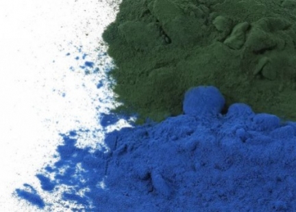 Fikocyjanina przeciwutleniacz z alg