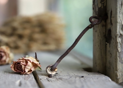 Bez miedzi rośliny umierają