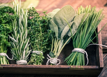 Zioła w dolegliwościach kobiecych – ogólne zestawienie 