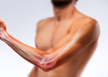 Kości kończyny górnej