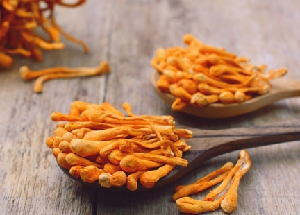 Cordycepin (kordycepina) dla zdrowia i dobrego samopoczucia