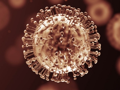 CoVid-19 SARS-CoV-2 raz jeszcze