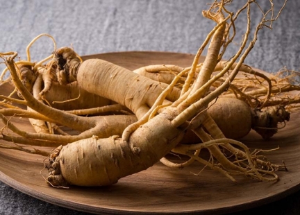 Żeń-szeń – siła i witalność organizmu