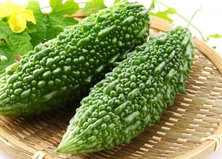 Gorzki melon – roślinna insulina, strażnik cukru