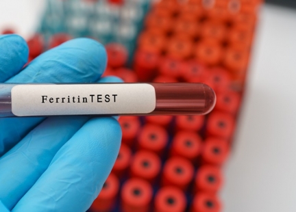 Ferrytyna – magazyn żelaza