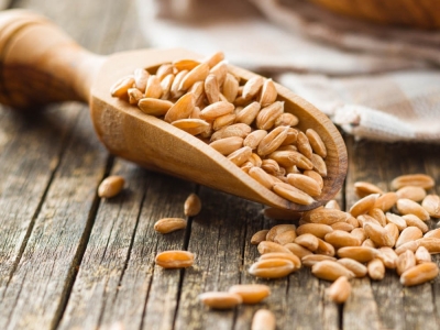 Uzdrowieńcza medycyna św. Hildegardy