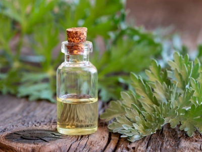 Uniwersalne zioła i mikstury św. Hildegardy