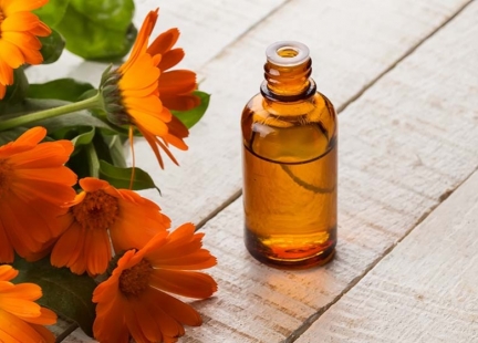 Nagietek lekarski – do rany przyłóż