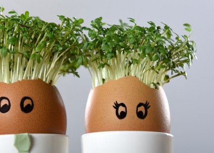 Rzeżucha na lepsze zdrowie