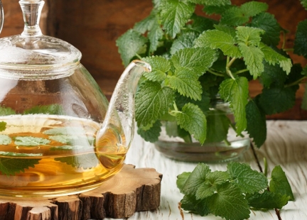 Melisa – spokój z natury