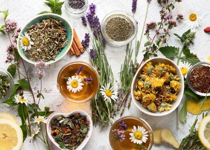 Proste odpowiedzi na trudne pytania