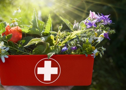 Top 3 preparatów naturalnego pochodzenia w Twojej wakacyjnej apteczce