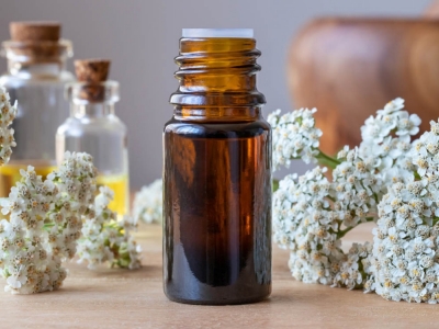 Krwawnik pospolity – właściwości, zastosowanie